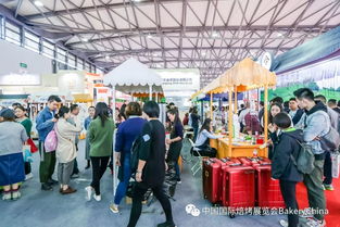 全球烘焙美食狂歡節(jié)倒計時2周 珠海職業(yè)培訓助力烘焙夢想